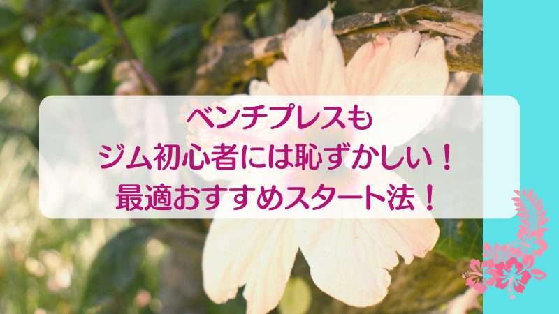 ベンチプレスもジム初心者には恥ずかしい！最適おすすめスタート法！